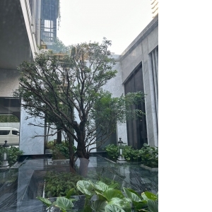 The Reserve Sathorn-曼谷CBD金融中心Sathorn中，僅134戶的高隱私超奢華住宅大樓